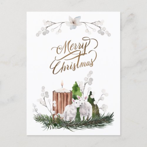 Baby Lamb Pine Candle Christmas  Postcard
