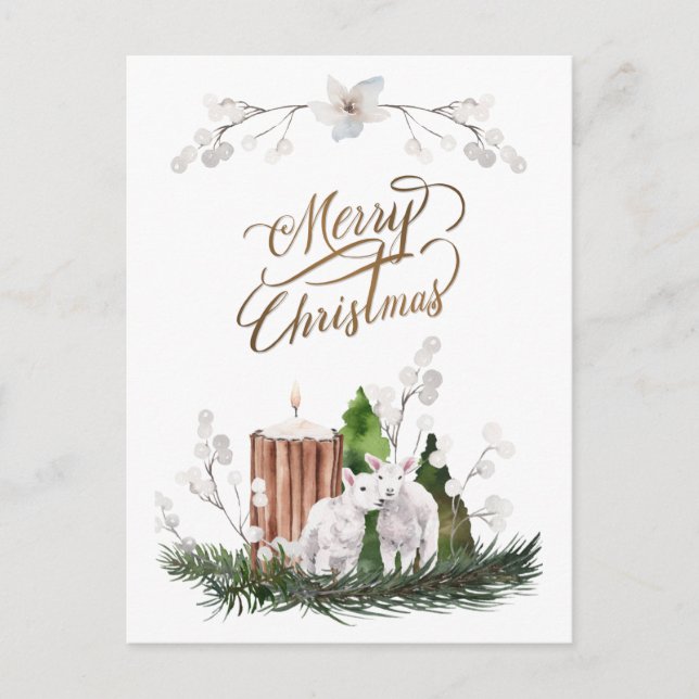 Baby Lamb Pine Candle Christmas  Postcard (Front)