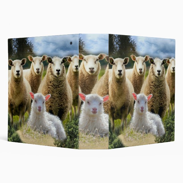 Baby Lamb Sheep Herd Flock 3 Ring Binder (Background)