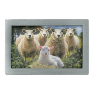 Baby Lamb Sheep Herd Flock Belt Buckle