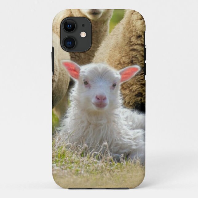 Baby Lamb Sheep Herd Flock Case-Mate iPhone Case (Back)