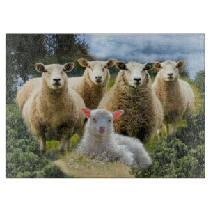Baby Lamb Sheep Herd Flock Cutting Board