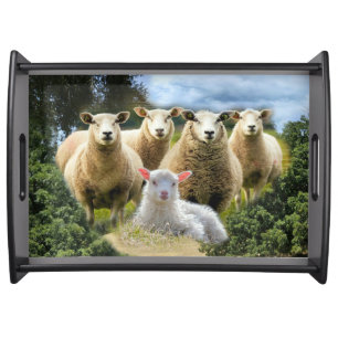 Baby Lamb Sheep Herd Flock Serving Tray