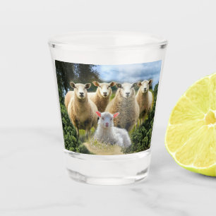 Baby Lamb Sheep Herd Flock Shot Glass