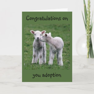 BABY LAMBS ARE HAPPY ABOUT YOUR "ADOPTION" CARD