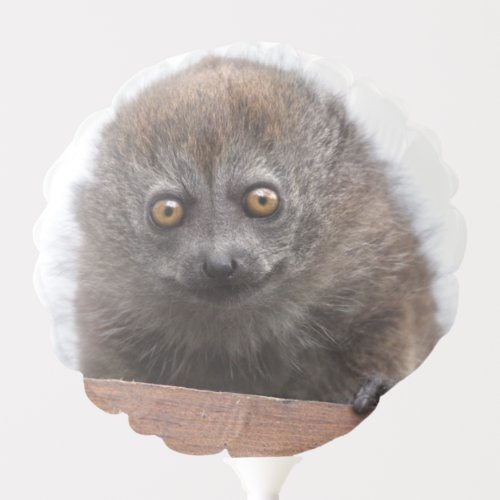 Baby Lemur Balloon