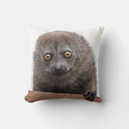 Baby Lemur Pillow