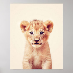 Baby Lion Poster