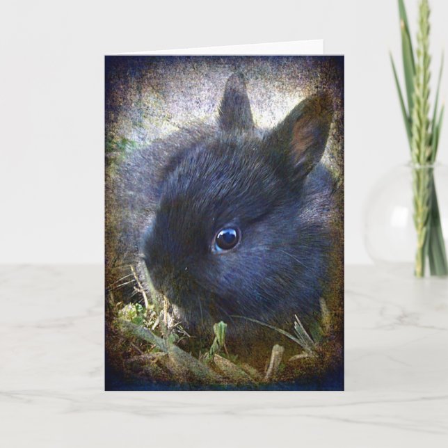 Baby Lionhead Bunny All Occasions  Card (Front)