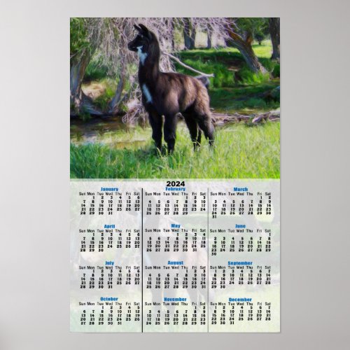 Baby Llama 2024 Calendar Poster