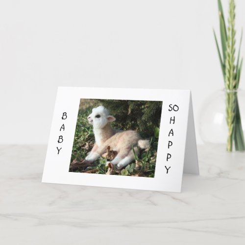 BABY LLAMA SAYS HAPPY FOR YOU AND NEW BABY ANNOUNCEMENT