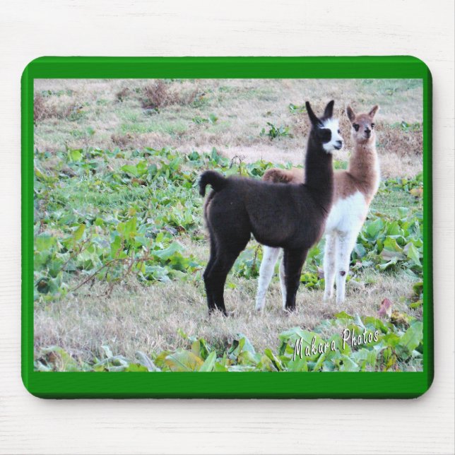 Baby Llamas Mousepad (Front)