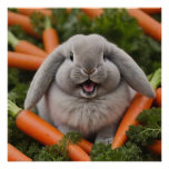 Baby Lop-eared Bunny Hugging Carrots Poster