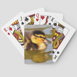 Baby Mallard Duck Swimming Poker Cards