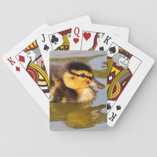 Baby Mallard Duck Swimming Poker Cards