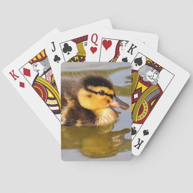 Baby Mallard Duck Swimming Poker Cards (Back)