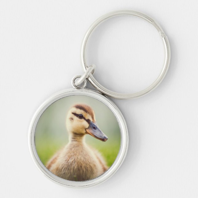 Baby Mallard Ducking Keychain (Front)