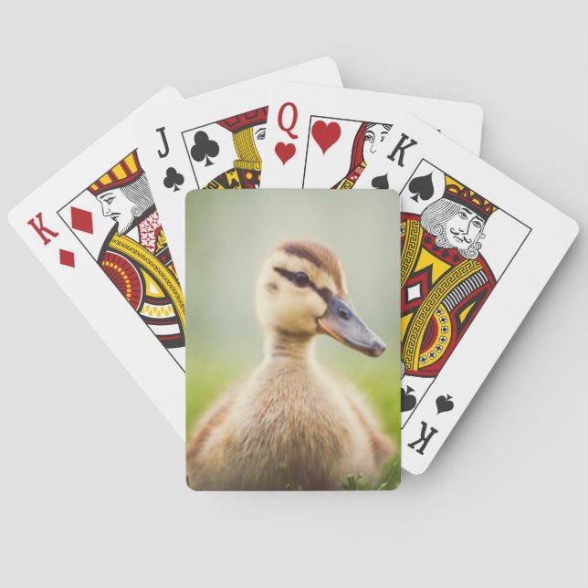 Baby Mallard Ducking Poker Cards (Back)
