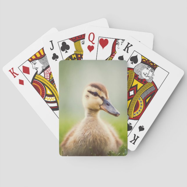Baby Mallard Ducking Poker Cards (Back)
