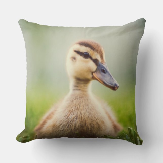 Baby Mallard Ducking Throw Pillow (Front)