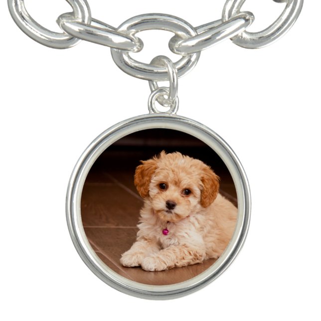Baby Maltese poodle mix or maltipoo puppy dog Charm Bracelet (Design)