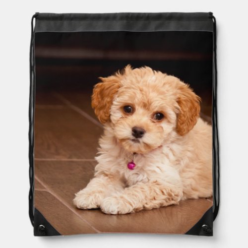 Baby Maltese poodle mix or maltipoo puppy dog Drawstring Bag