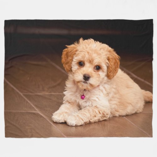 Baby Maltese poodle mix or maltipoo puppy dog Fleece Blanket