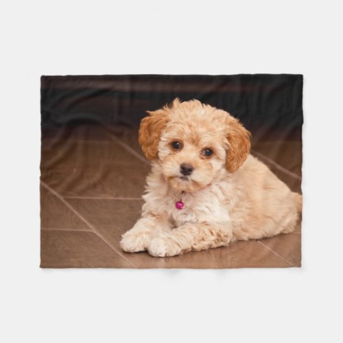 Baby Maltese poodle mix or maltipoo puppy dog Fleece Blanket