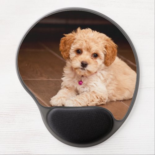 Baby Maltese poodle mix or maltipoo puppy dog Gel Mouse Pad