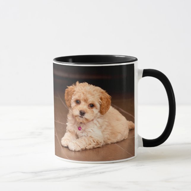 Baby Maltese poodle mix or maltipoo puppy dog Mug (Right)