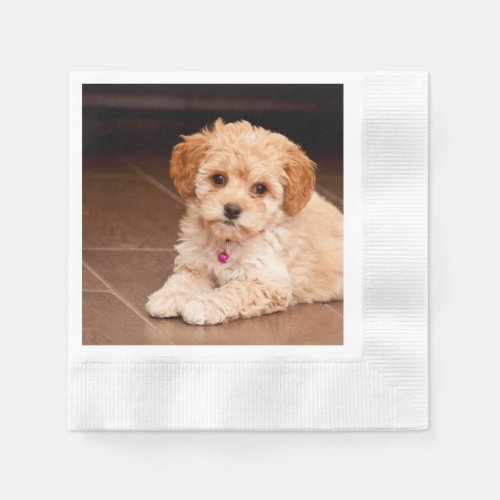 Baby Maltese poodle mix or maltipoo puppy dog Napkins