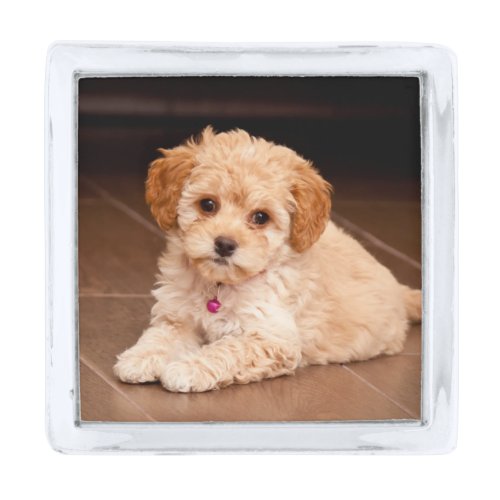 Baby Maltese poodle mix or maltipoo puppy dog Silver Finish Lapel Pin