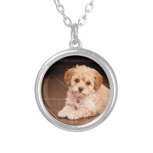 Baby Maltese poodle mix or maltipoo puppy dog Silver Plated Necklace