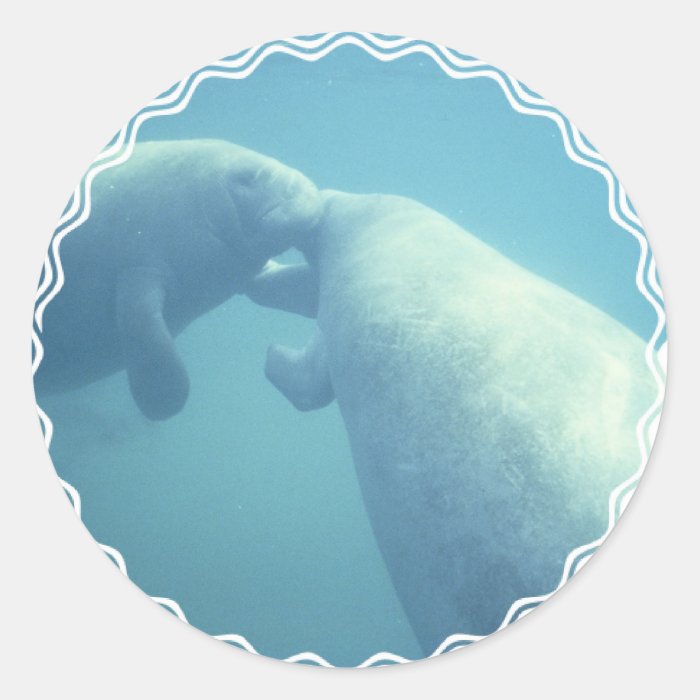 Baby Manatees Stickers
