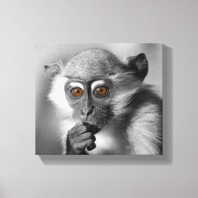 Baby Mangabey Monkey Canvas Print (Front)