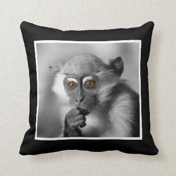 Baby Mangabey Monkey Throw Pillow by Wilderzoo at Zazzle