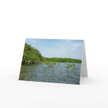 Baby Mangrove Trees in the Caribbean  Card