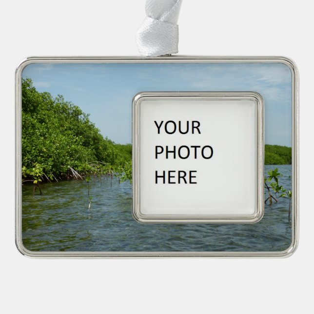 Baby Mangrove Trees in the Caribbean  Christmas Ornament (Front)
