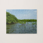 Baby Mangrove Trees in the Caribbean  Jigsaw Puzzle