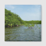 Baby Mangrove Trees in the Caribbean  Magnet