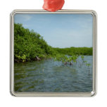 Baby Mangrove Trees in the Caribbean  Metal Ornament