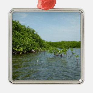 Baby Mangrove Trees in the Caribbean Metal Ornament
