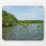 Baby Mangrove Trees in the Caribbean  Mouse Pad