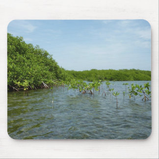 Baby Mangrove Trees in the Caribbean Mouse Pad