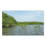 Baby Mangrove Trees in the Caribbean  Rectangular Sticker