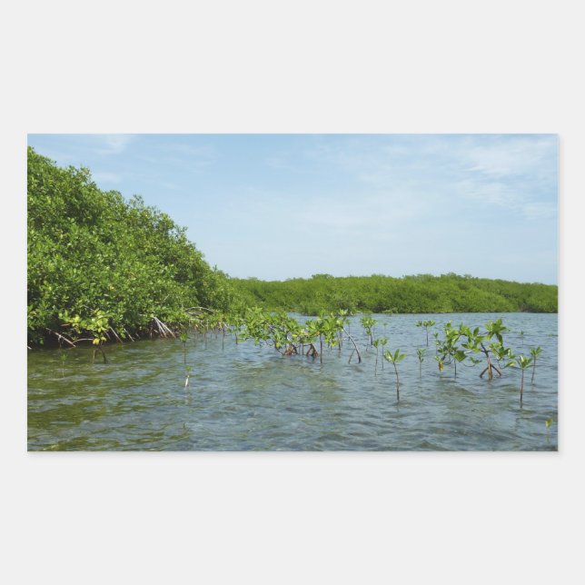 Baby Mangrove Trees in the Caribbean  Rectangular Sticker (Front)