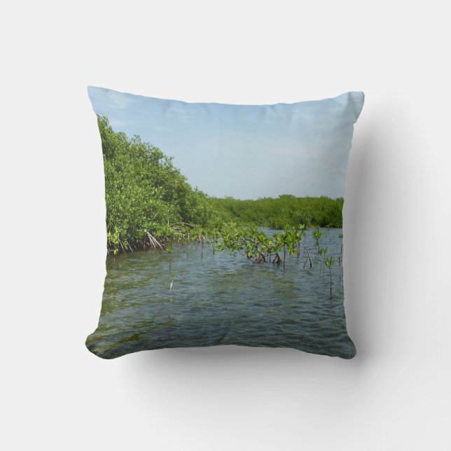 Baby Mangrove Trees in the Caribbean  Throw Pillow (Front)