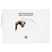 Baby Mantis ~ card (Back Horizontal)