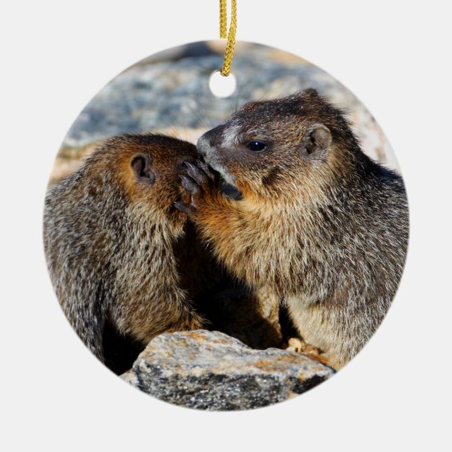 baby marmots ceramic ornament (Front)