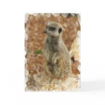 Baby Meerkat Greeting Card